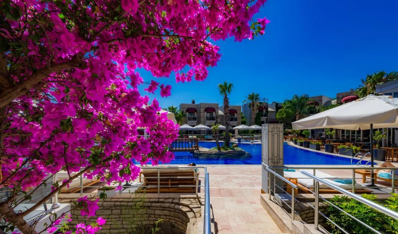 ****  Bodrium Hotel & Spa Bodrum Türkiye
